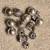 19 containers jewelry beads of various types 10 thumbnail