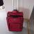 Ricardo Rolling Suitcase 1 thumbnail