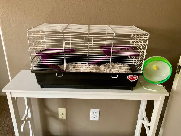 Large KAYTEE Hamster Cage! $45 will include new exercise wheel (Las Vegas)63860183686785120