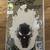 GHOST RIDER COMIC BOOKS 1 thumbnail