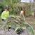 EXPERIENCED JUNK-TRASH-DEBRIS REMOVAL-WEST PALM BEACH 8 thumbnail