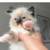Charming 8-week-old kitten 2 thumbnail