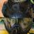 Paintball equipment 7 thumbnail