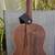 Ibanez Acoustic Bass (short scale) 3 thumbnail