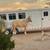 Beautiful Palomino Gelding 1 thumbnail