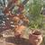 Prickly pear cactus sculpture metal art statues 2 thumbnail