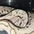 Rehoming scaleless ball python pair 3 thumbnail
