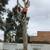 🌴🌳🌿TREE TRIMMING,🌴 TREE REMOVAL, PALM REMOVAL, PALM TRIMMING , SERVI 13 thumbnail