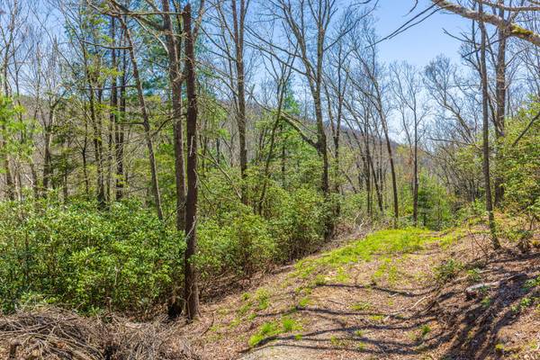 $89,999 Land ONLY! Fairview Forest Dr. (Fairview)64029373411841120