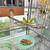 4 Young Parakeets w/ Ultra Nice, Large Flight Cage 2 thumbnail