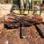 Large inventory of Mesquite Slabs **KILN DRIED = NO BUGS 9 thumbnail