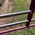 Farm gate 3 thumbnail