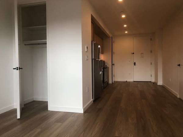 $1,667 charming studio Apartment (Brooklyn)63684780966785121