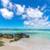 Exclusive Shuttle service, tours and more . 6 thumbnail