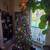 Christmas Tree 3 thumbnail