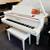 MUSIC BUSINESS FOR SALE in sunny Florida--why stay in the snow? 12 thumbnail