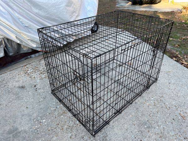 large dog cage 1