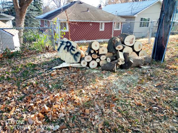 FREE FIREWOOD  FRESH CUT 1