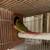 Pineapple conure proven pair bird parrot 3 thumbnail