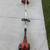 String trimmer 1 thumbnail