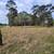 LAND/1 ACRE LOT HANKAMER TEXAS 3 thumbnail
