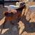 Brownfield 4 thumbnail
