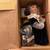 Brand New Porcelain Dolls in Boxes Lot 3 thumbnail