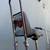 2004 Raleigh Chopper Mk3 Reproduction Unboxed and all tuned up. 17 thumbnail