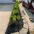 **Best AFFORDABLE Landscape Services!!** 24 thumbnail