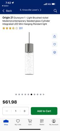 Allen & Roth Light Origin 21 Dunwynn 1  Chrome Modern/contemporary Seeded Glass 1