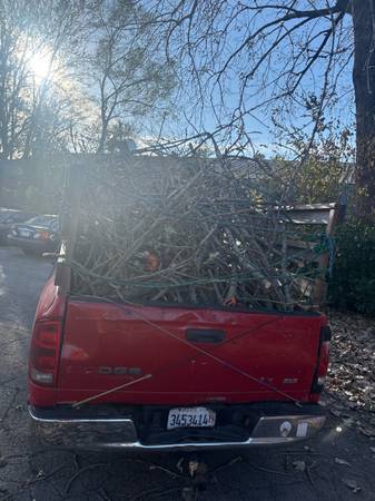 Hector & sons tree service 1