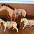 3 decorative horses. 2 thumbnail