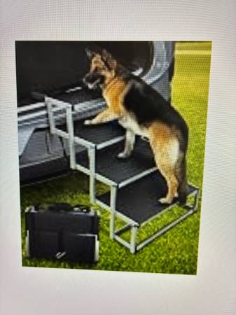 Dog Stairs 1