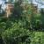 Below Market 207sqm Vista Montana Mandaue Flood-Free Ready to Build 8 thumbnail