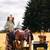 Tack Chest, Tack Box,  Day Tripper with Folding Multi-Purpose Dolly 8 thumbnail