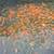 Koi Fish for Sale 4 thumbnail