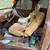 Ford F-150 Pickup 1953-4 Extra Rims-Project Car Has an Engine Bid Now 13 thumbnail