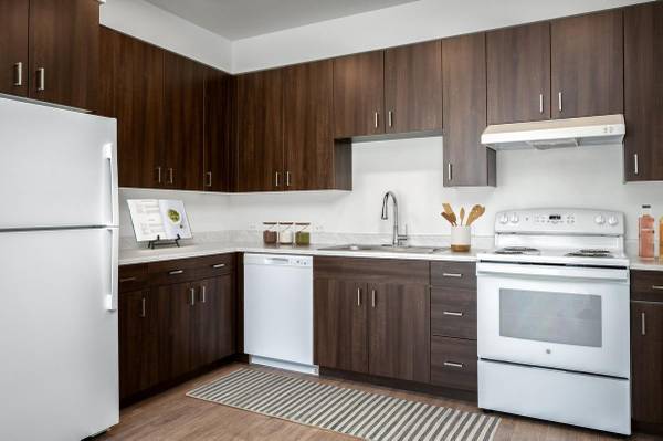 $1,317 / 1br - 504ft2 - Distribuciones abiertas, estacionamiento fuera de la calle, almacenamiento para bicicletas63820795720705121