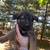 Full blooded not papered German shepherd puppies 10 thumbnail