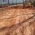 Septic redo soils testing & Drainage grading 6 thumbnail