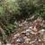 Cleaning The Community in Redding, California. 2 thumbnail