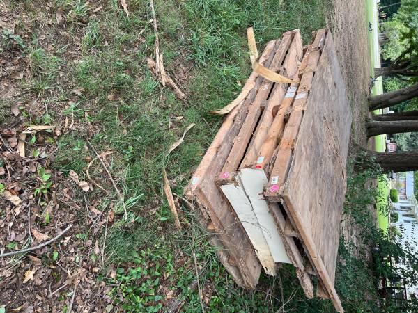 Free skids 1