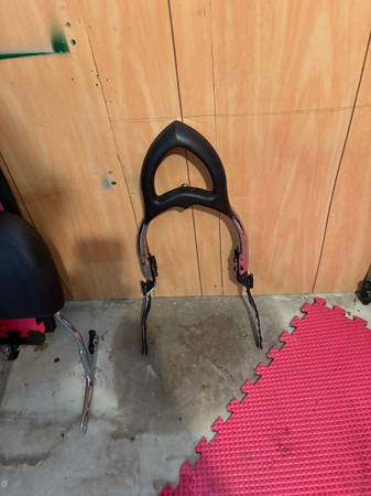 Sissy Bar 1