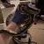 Ball Pythons 2 thumbnail