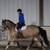 HORSE TRAINING+ RIDING LESSONS..Will come to you! 2 thumbnail