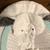 Fisher Price Little Lamb Baby Bouncer Seat - musical - vibrating 2 thumbnail