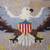 American Eagle Latch hook Rug 2 thumbnail