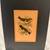 Chicago Academy of Sciences Bird Print CHRYSOMISTRIS BRYANTII 1 thumbnail