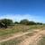 Skid Steer & Tractor Services 3 thumbnail