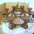New Rustic Farmhouse Candelabra Chandelier 1 thumbnail